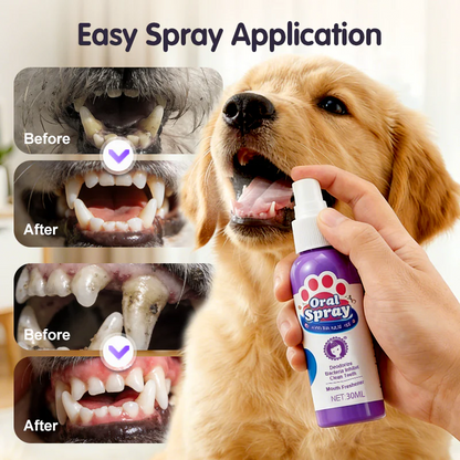 🔥2026 New Arrivals: 40% Off for a Limited Time!🔥Teeth Cleaning Spray for Pets